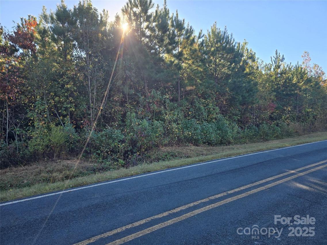Moss Ln., New London, NC 28127