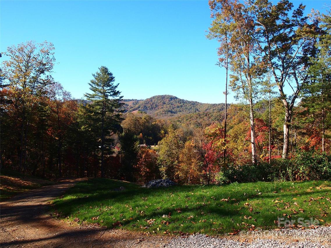 188 Longue Vue Ln., Canton, NC 28716