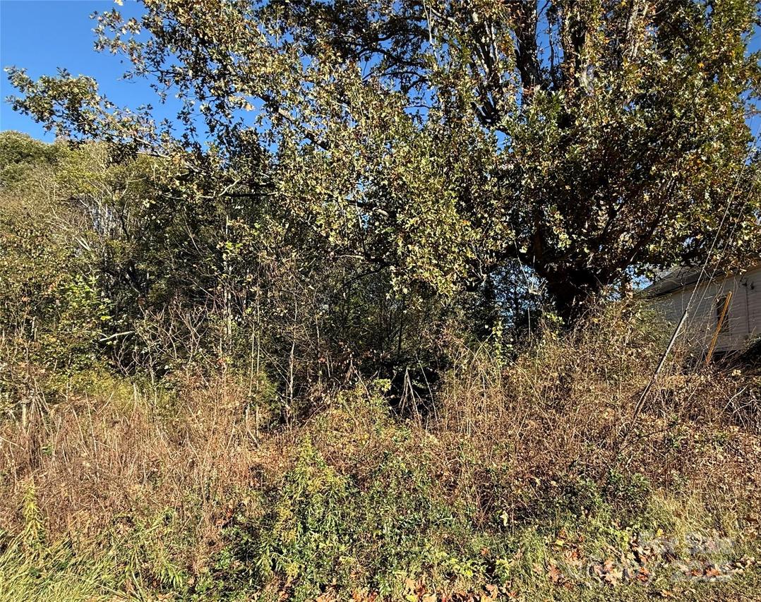 290 Mill Hill Ct., Stony Point, NC 28678