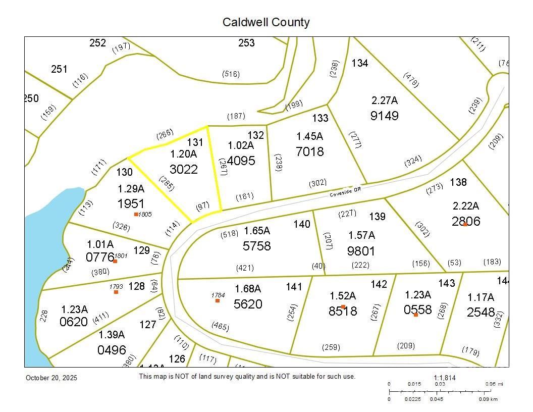 TBD Coveside Dr. #131, Granite Falls, NC 28630