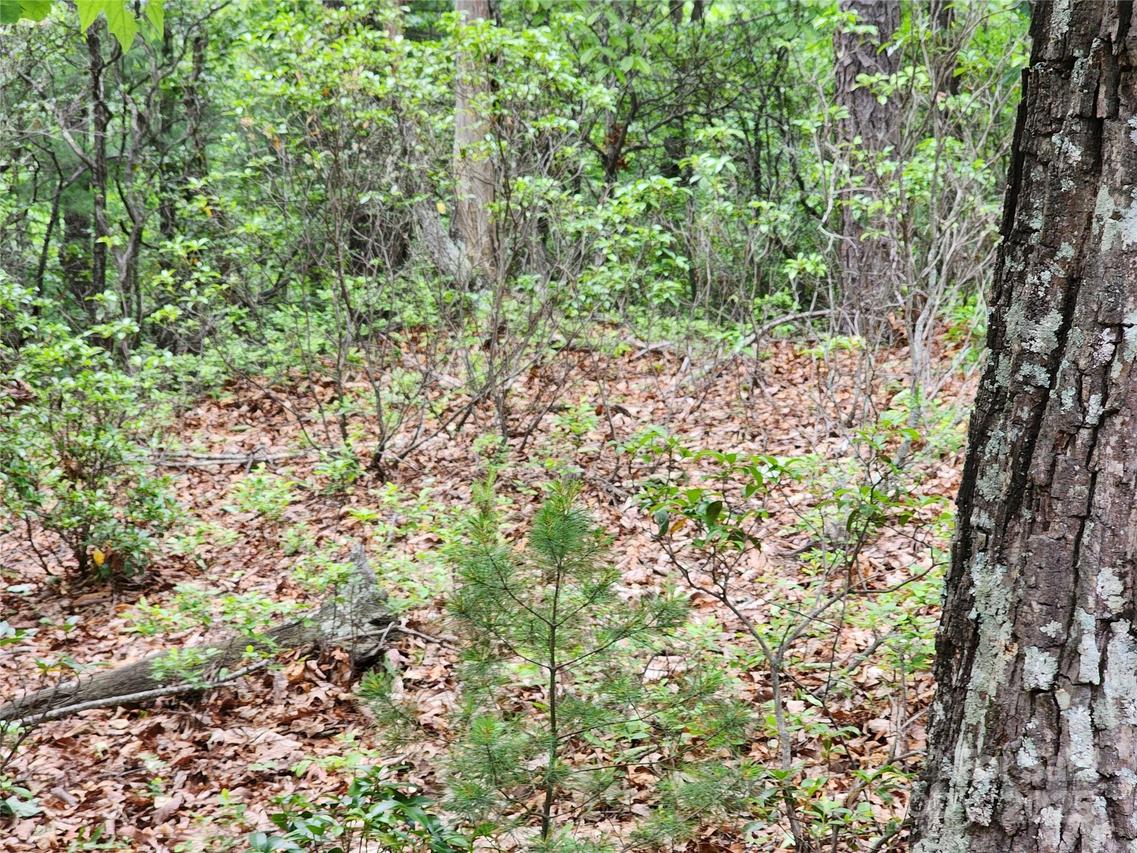 TBD Sampson Rd., Lenoir, NC 28645