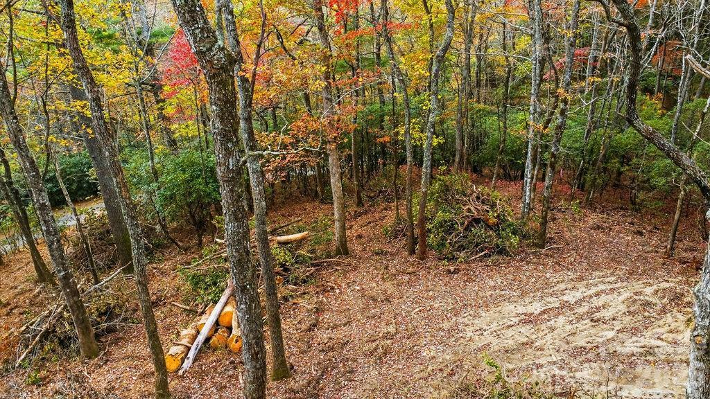 000 Indian Lake Rd. #21, Lake Toxaway, NC 28747