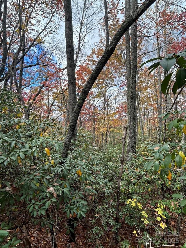 TBD High Peak Rd., Etowah, NC 28792