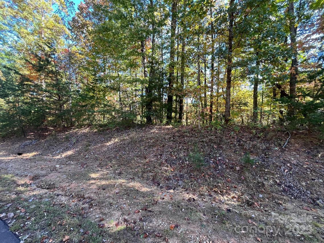 V/L Heartwood Dr., Marion, NC 28752