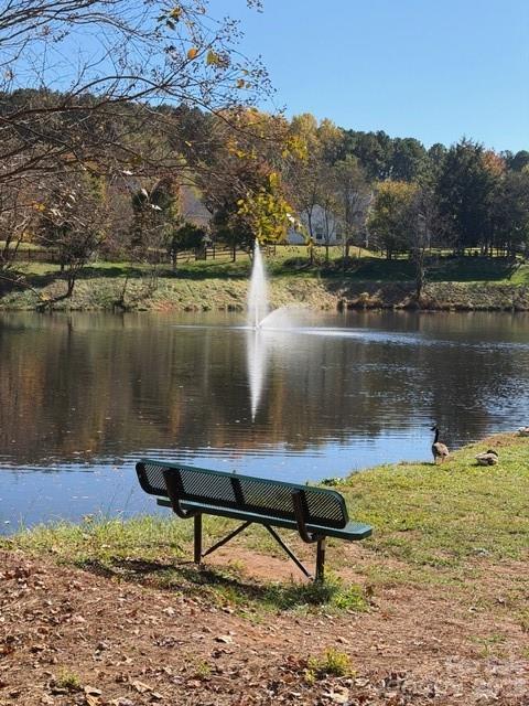 7167 April Mist Tr., Huntersville, NC 28078