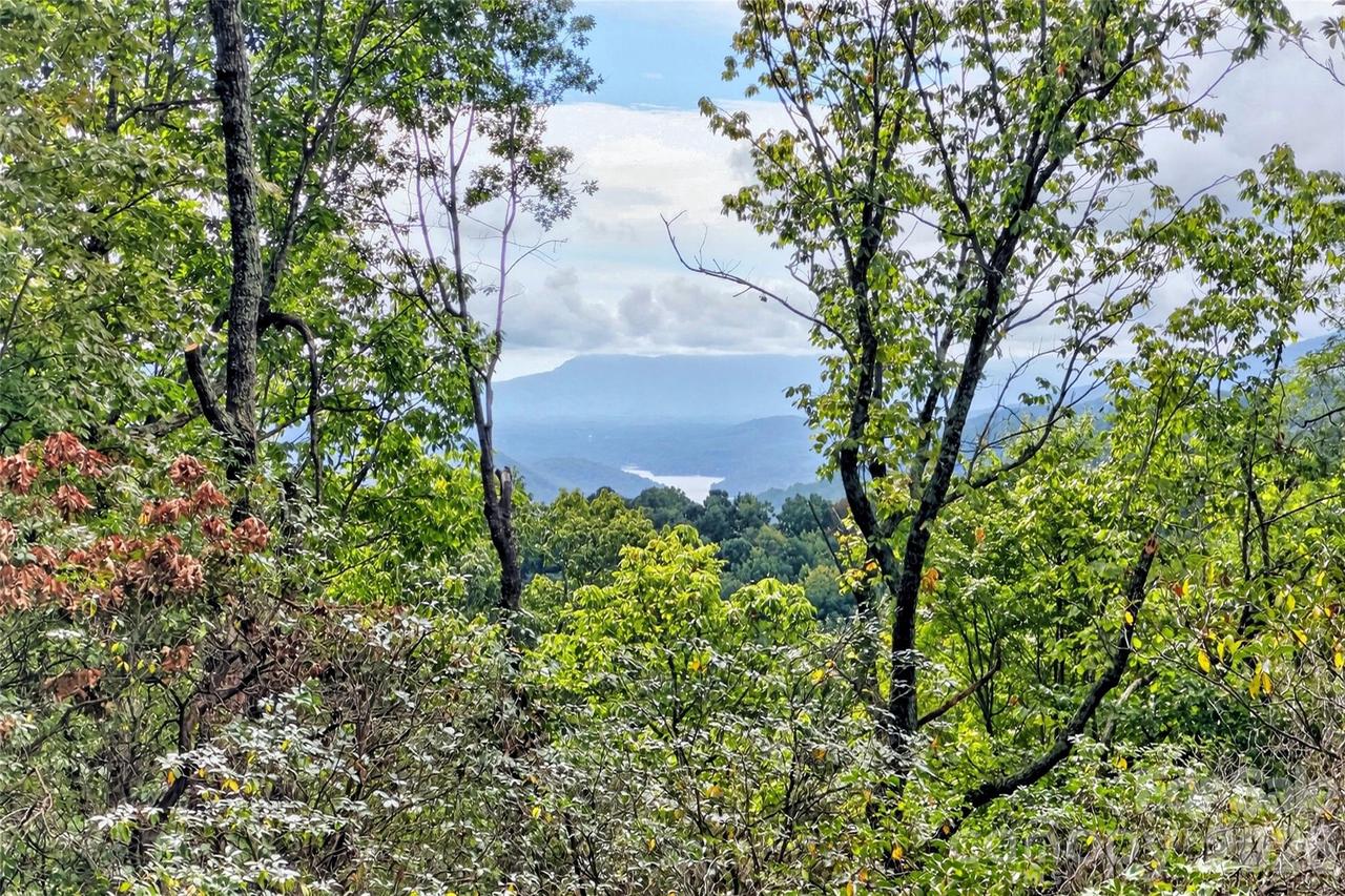 368 Sassafras Dr. #726, Old Fort, NC 28762