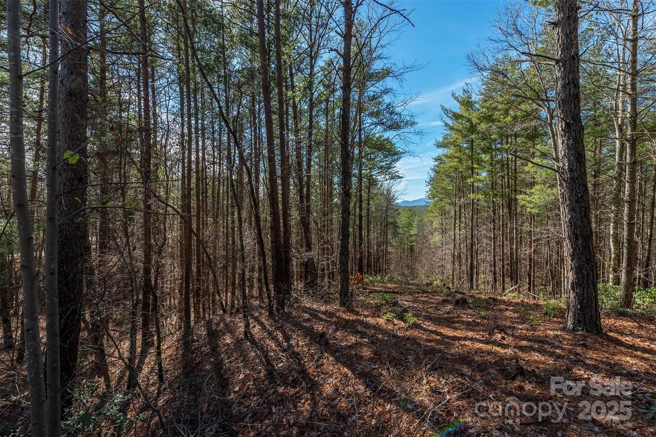 1683 Pisgah Preserve Dr., Nebo, NC 28761