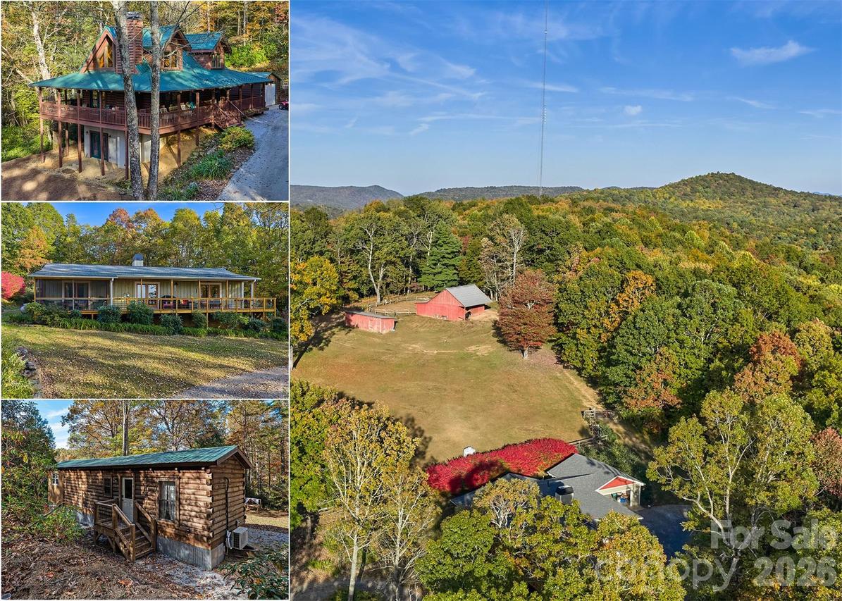 325, 141 & 75 Owl Haven Ln., Cedar Mountain, NC 28718