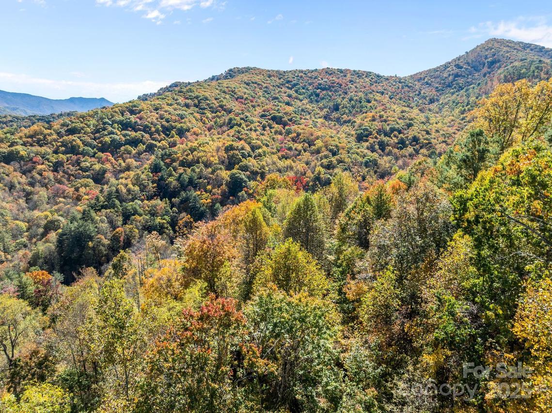 Lots 61 and  62 Wildwood Dr., Burnsville, NC 28714