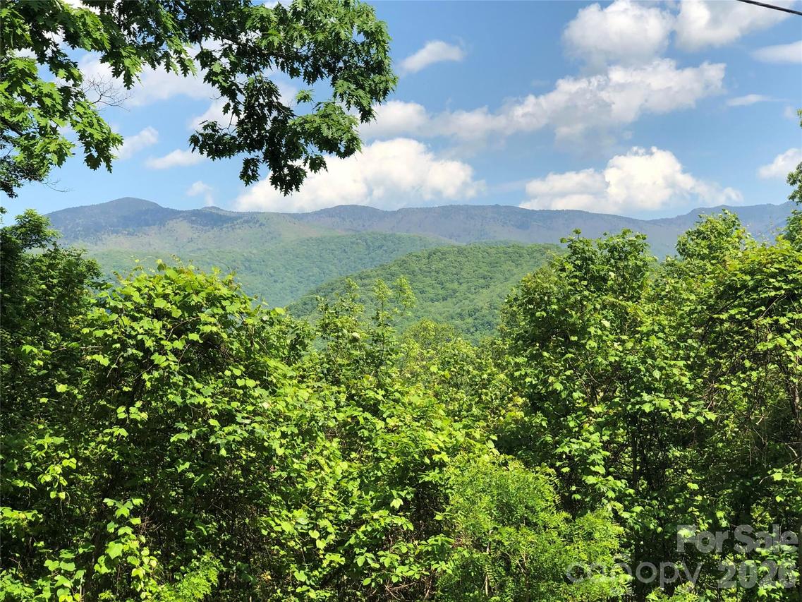 Lots 61 and  62 Wildwood Dr., Burnsville, NC 28714