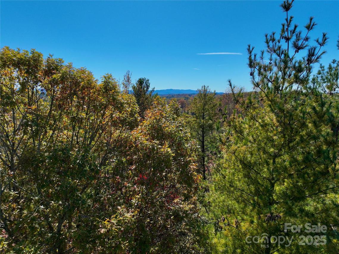 2800 Snipes St. #3, Morganton, NC 28655