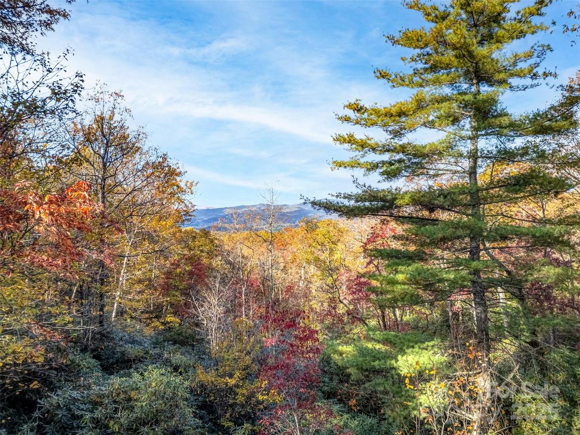 3314 Reserve Rd., Pisgah Forest, NC 28768