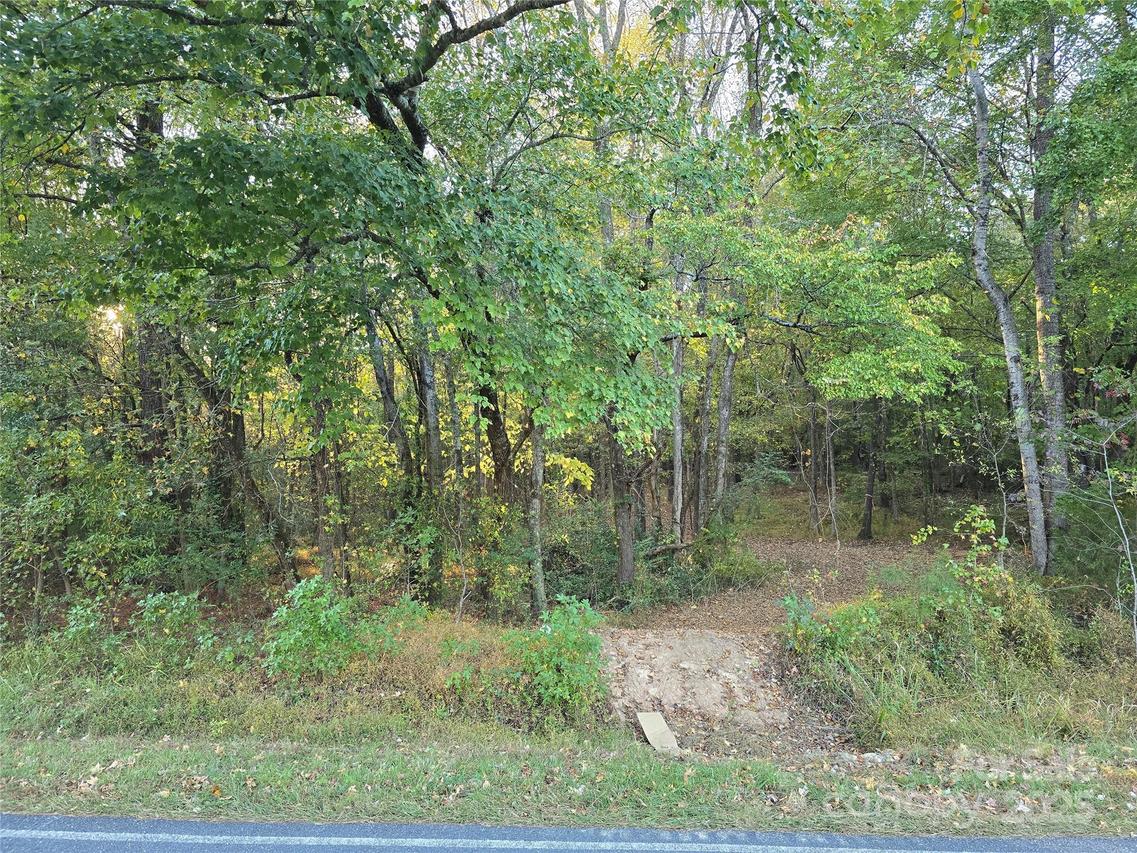 TBD Maske Rd., Mount Gilead, NC 27306