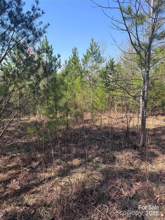 Cross Creek Dr. #277, Rutherfordton, NC 28139