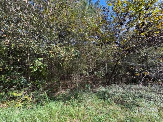 Hoyle St., Dallas, NC 28092