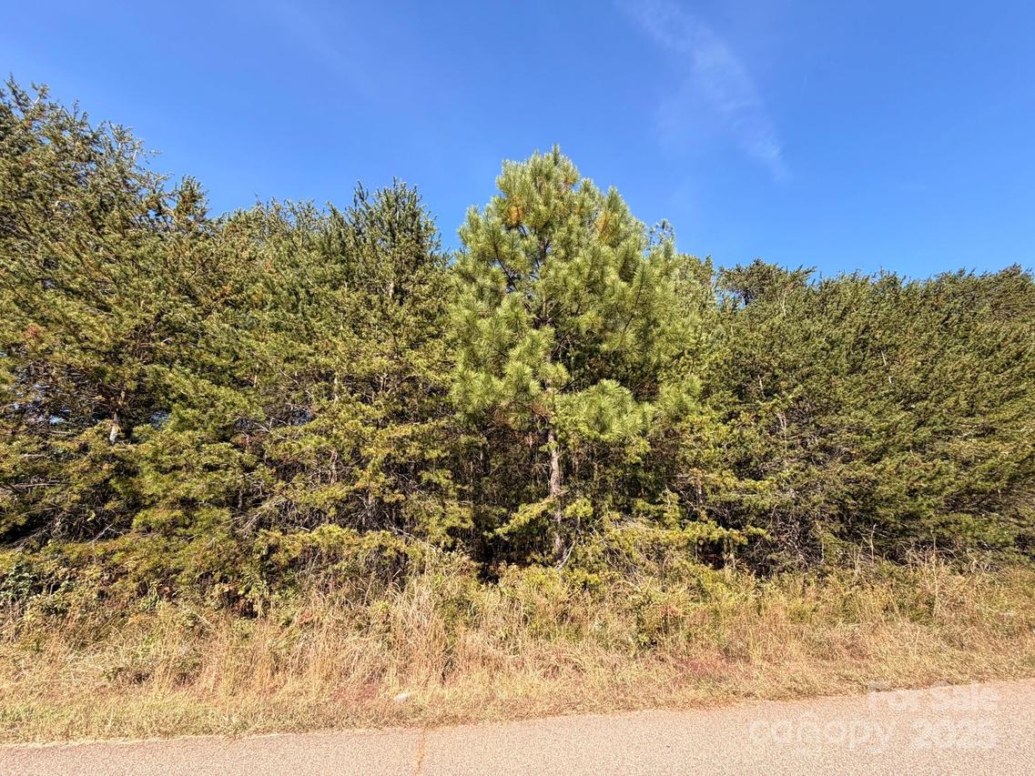 1953 Milton St. #36, Newton, NC 28658