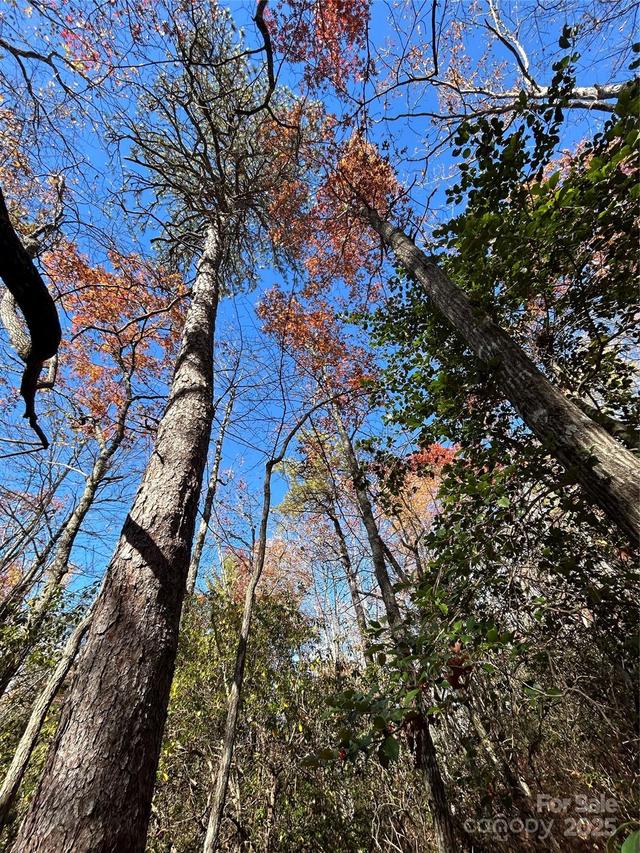 Lot 3 and 4 Oriole Rd., Brevard, NC 28712