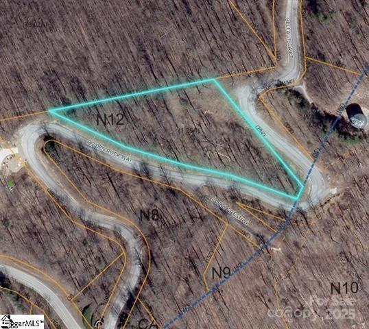 [Address Hidden by Seller], Zirconia, NC 28790
