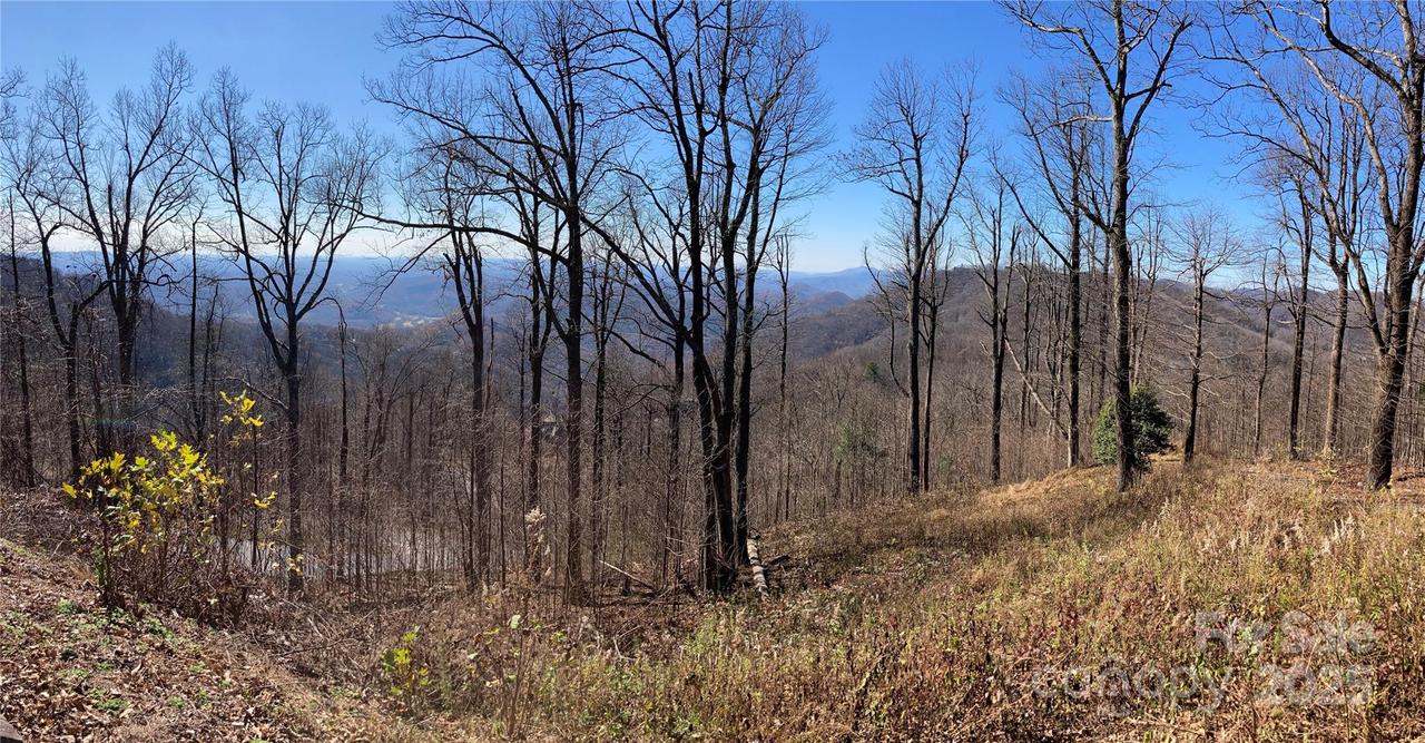 [Address Hidden by Seller], Zirconia, NC 28790