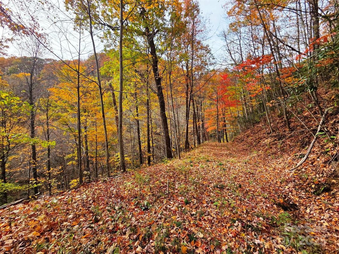 355 Moonshineholler Dr., Maggie Valley, NC 28751