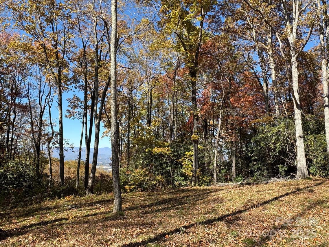 45 Trillium Garden Tr. #Lot 29, Fletcher, NC 28732
