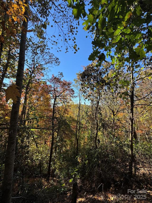 9999 Hemlock Tr., Laurel Park, NC 28739