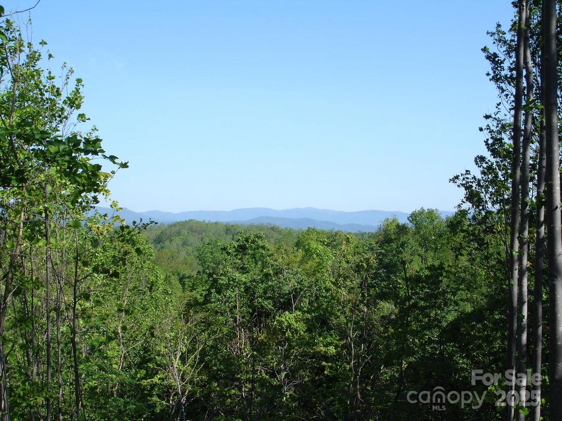 TBD Black Lark Dr., Marion, NC 28752