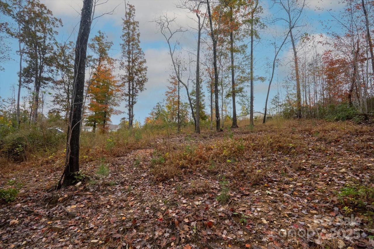 269 Mooseheart Rd., Nebo, NC 28761