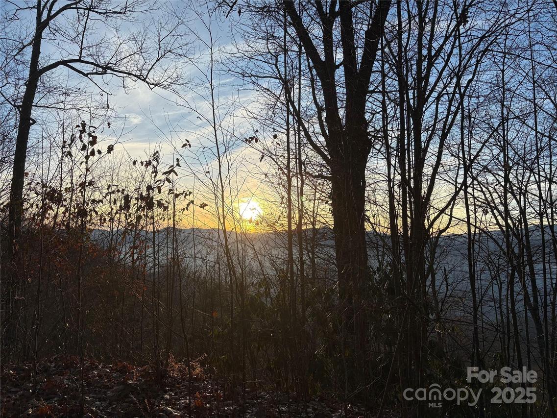 899 Hyacinth Dr., Clyde, NC 28721