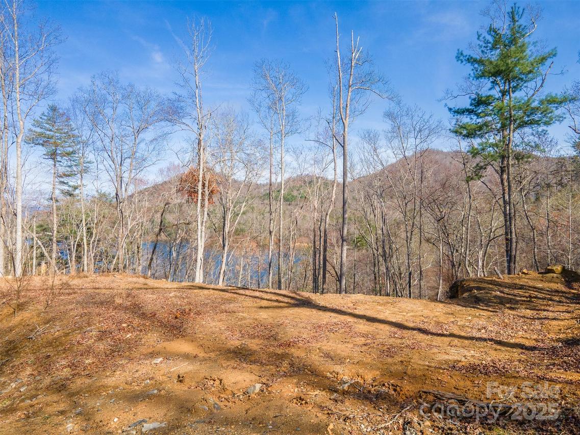 Lot 156 Mandolin Ct. #156, Tuckasegee, NC 28783