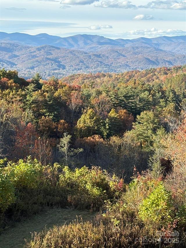 999 Old Spring Rd., Brevard, NC 28712