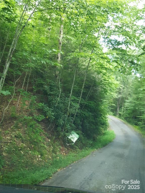 62 Turkey Hollow Ct., Waynesville, NC 28785