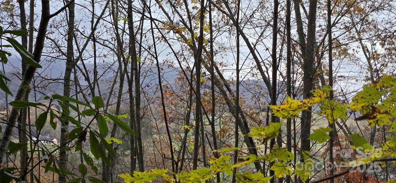 62 Turkey Hollow Ct., Waynesville, NC 28785