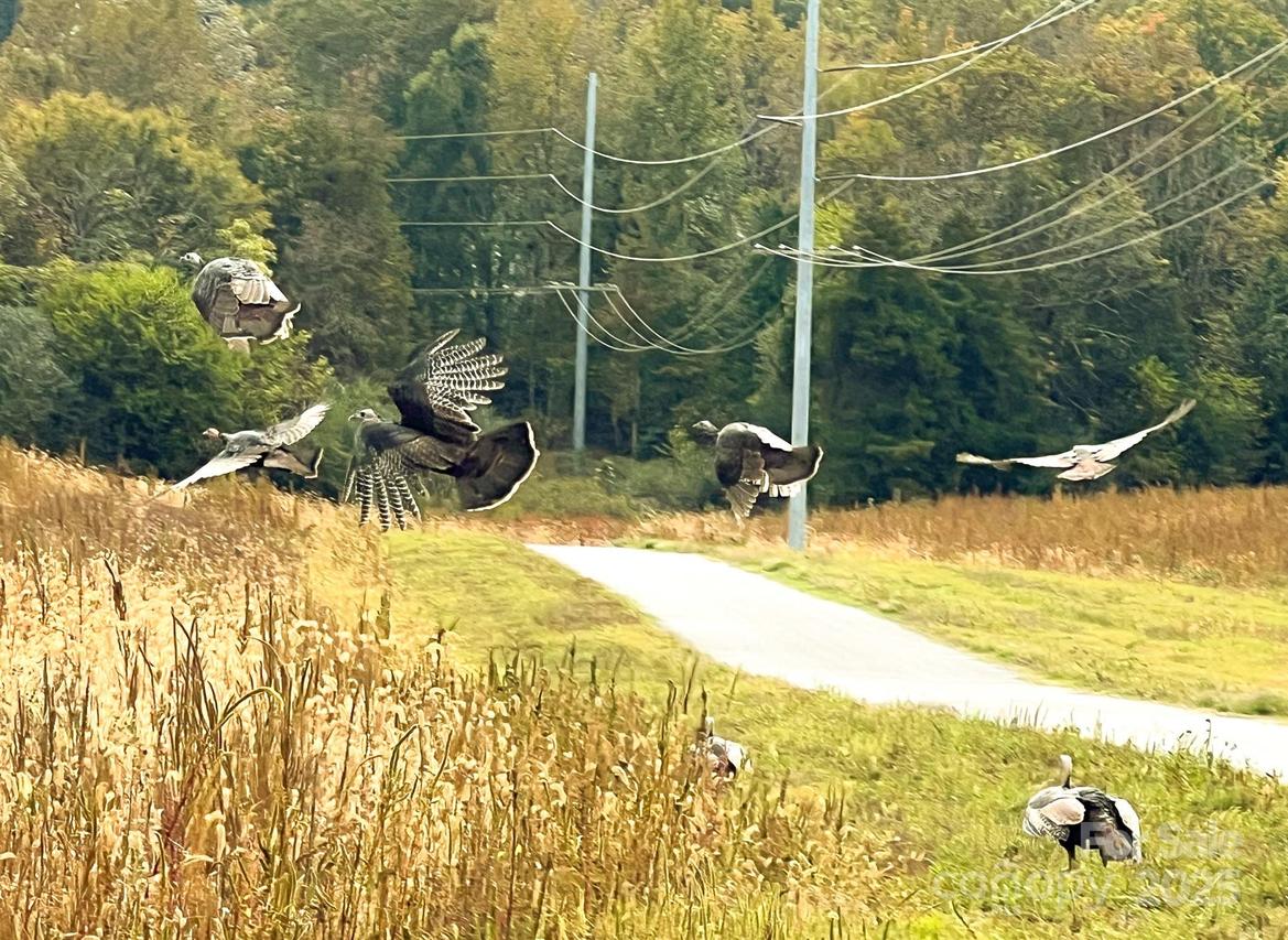 24990 Birdhouse Ln. #4, Locust, NC 28097