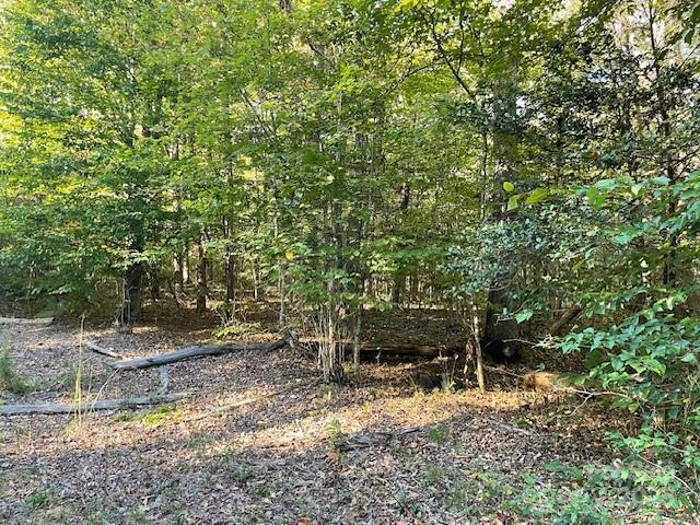 0000 W Us 70 Highway W None, Marion, NC 28752