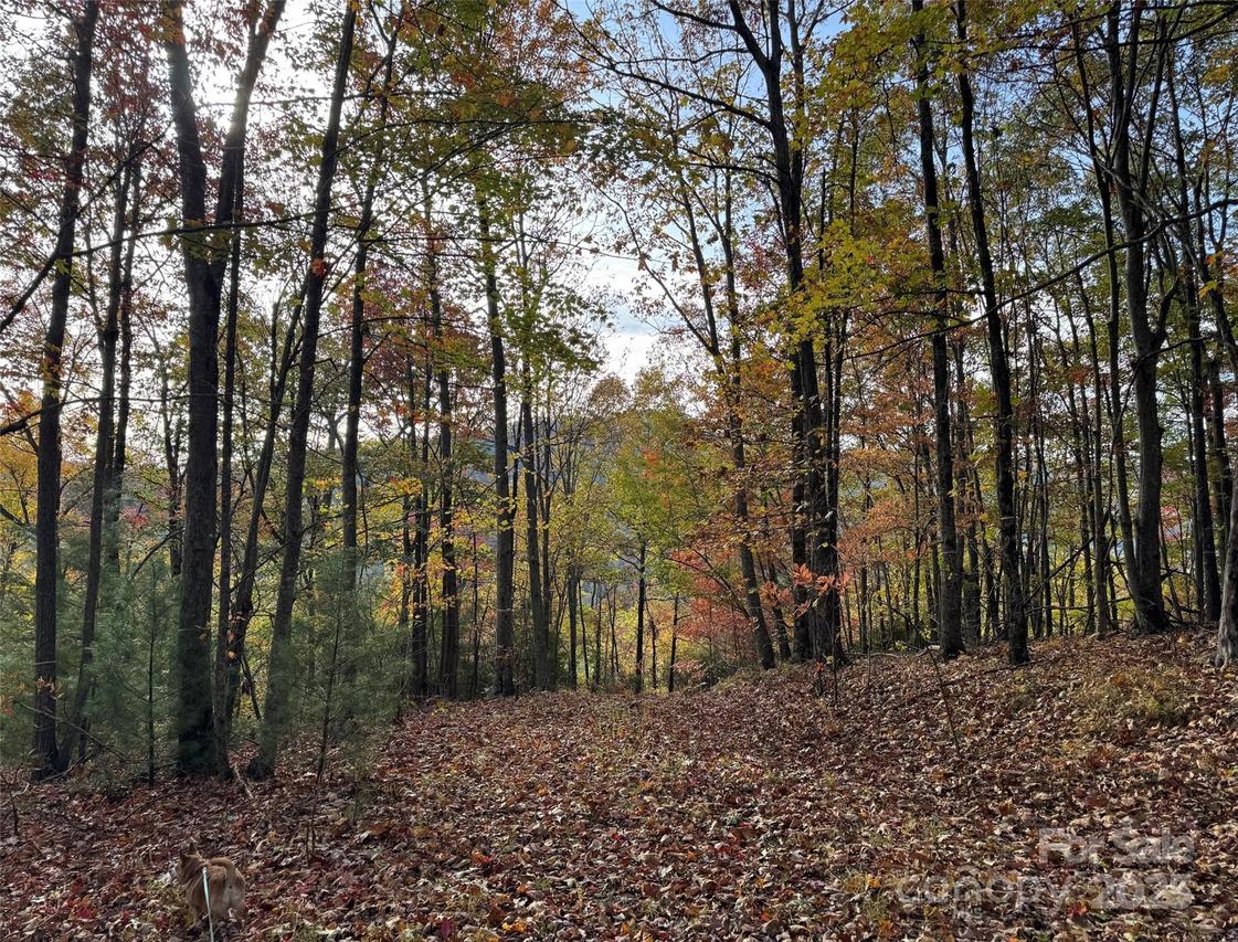 692 Blue Mist Way #205R, Arden, NC 28704