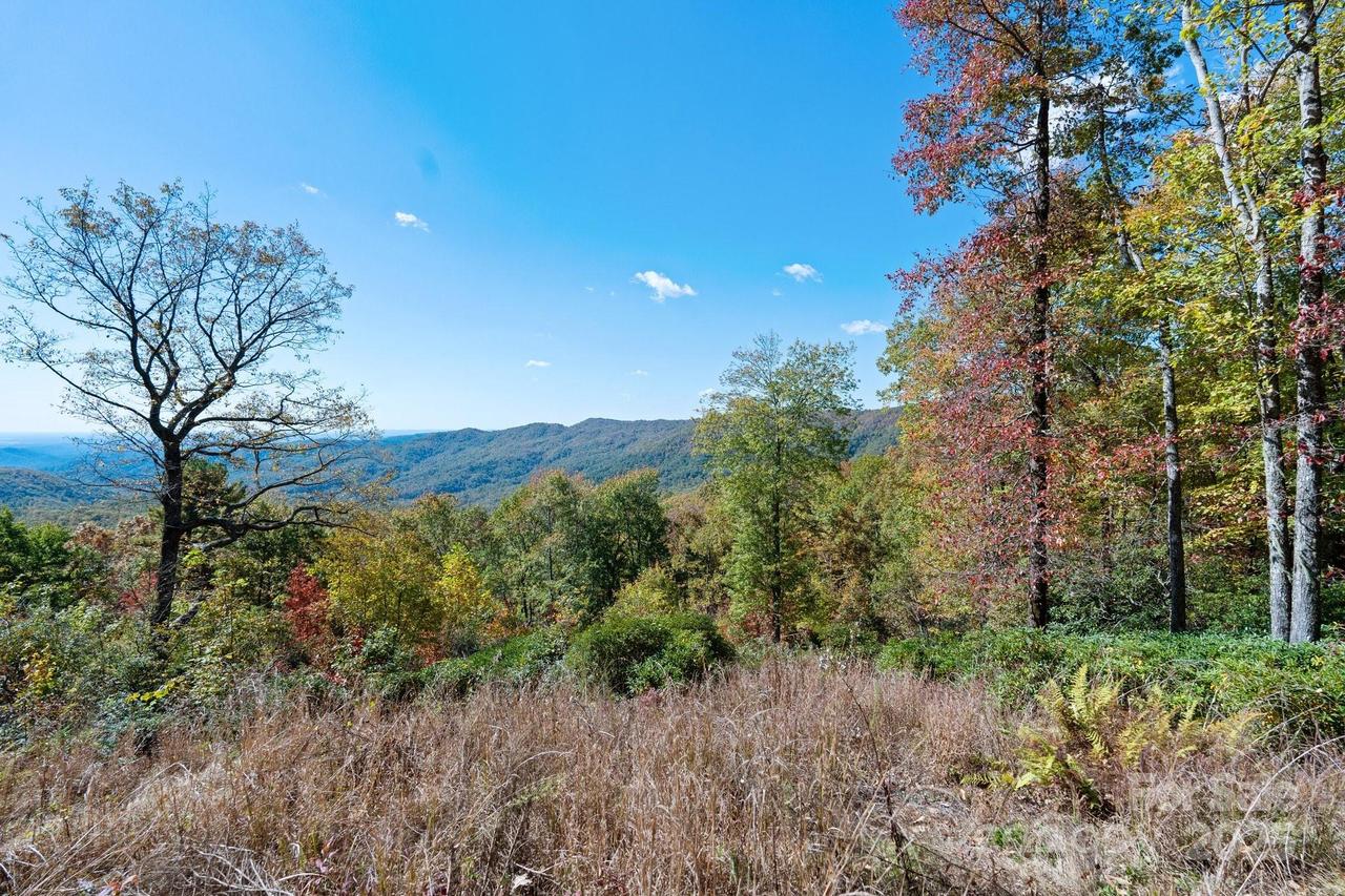 TBD Sassafras Ridge #36, Rosman, NC 28772