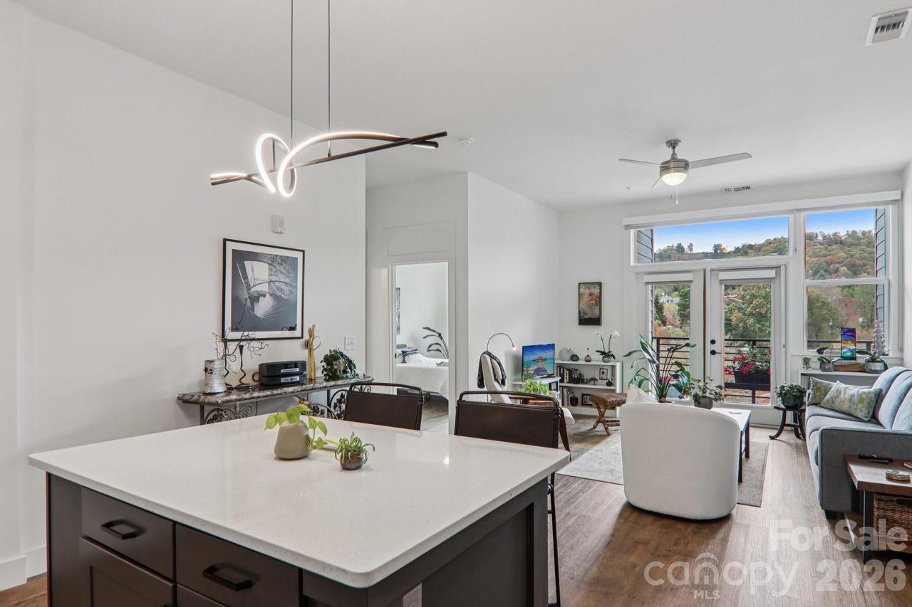 55 S Market St. #407, Asheville, NC 28801