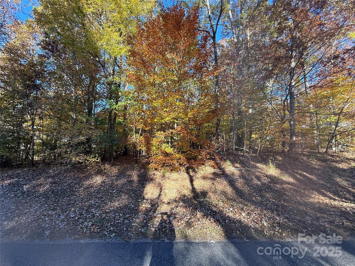 Lot Amesbury Dr., Mt Ulla, NC 28125