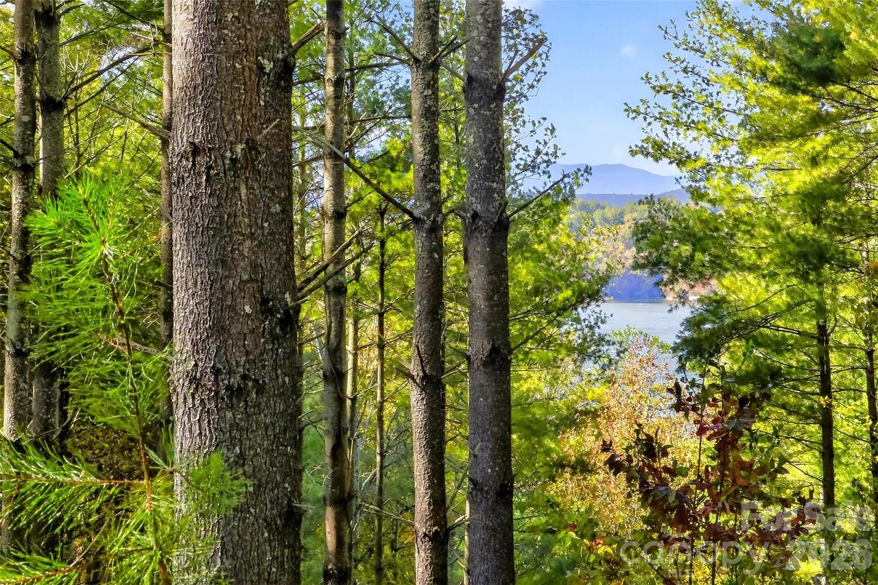 West Point Dr., Nebo, NC 28761
