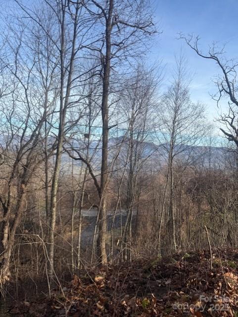 Pathways Tr. #89, Waynesville, NC 28785