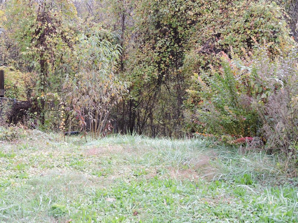 43 Argyle Ln., Asheville, NC 28806