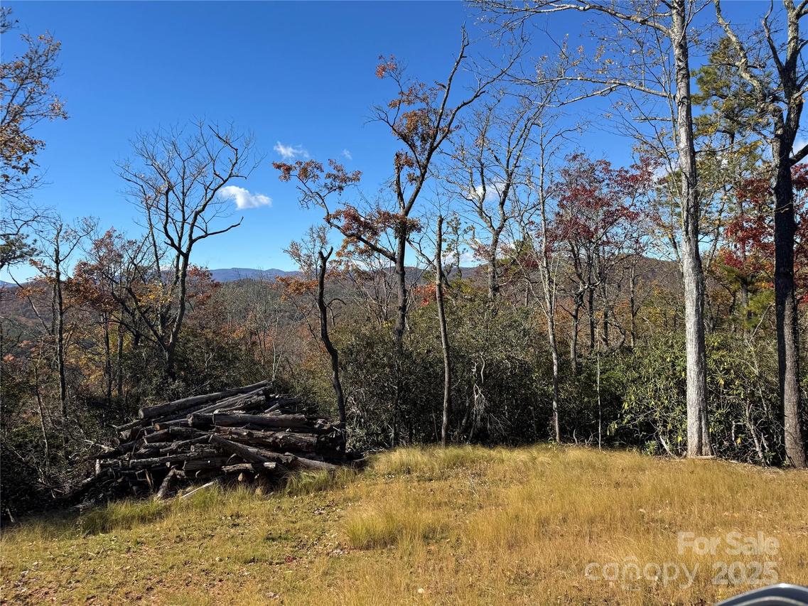 00 Normcol Rd., Pisgah Forest, NC 28768