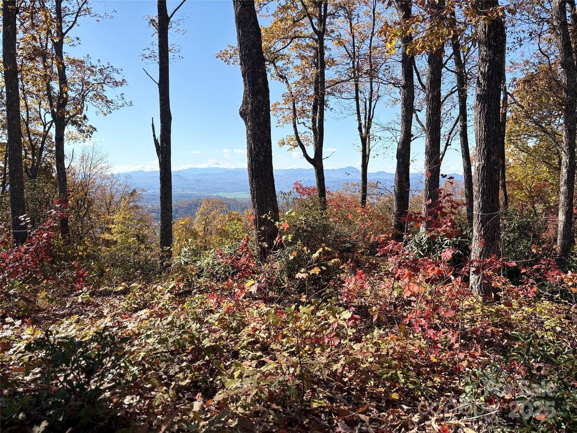 Lot 64 Feather Stone Dr., Fletcher, NC 28732