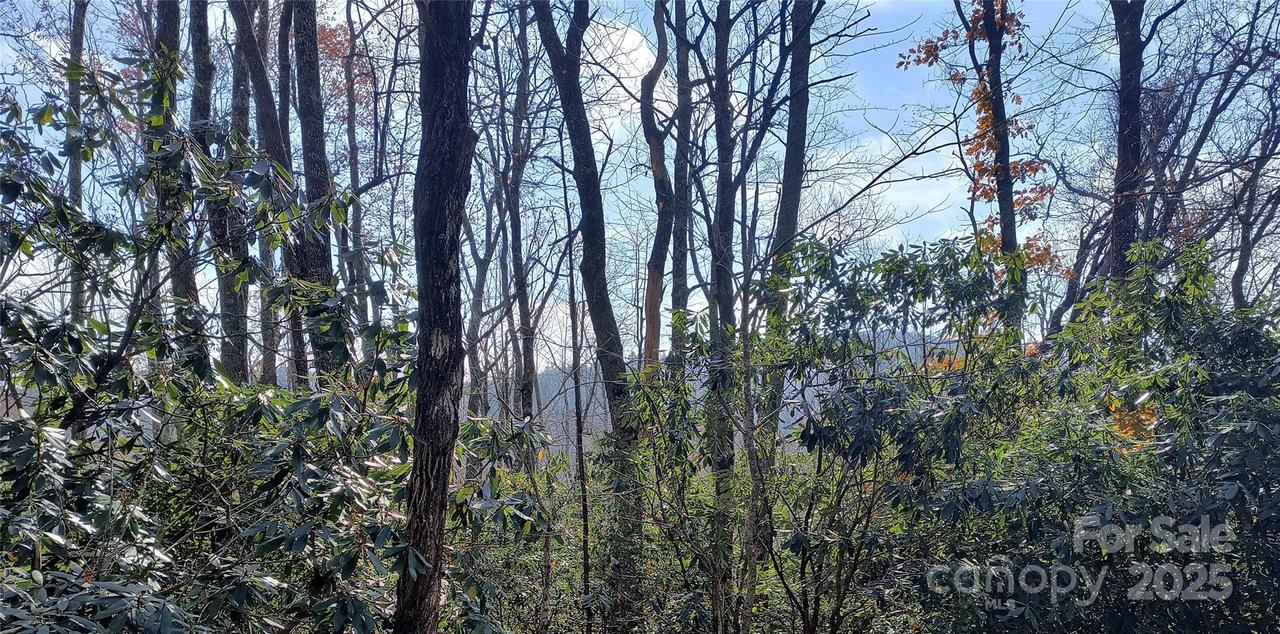 Lot 322 Sunny Dr., Newland, NC 28657