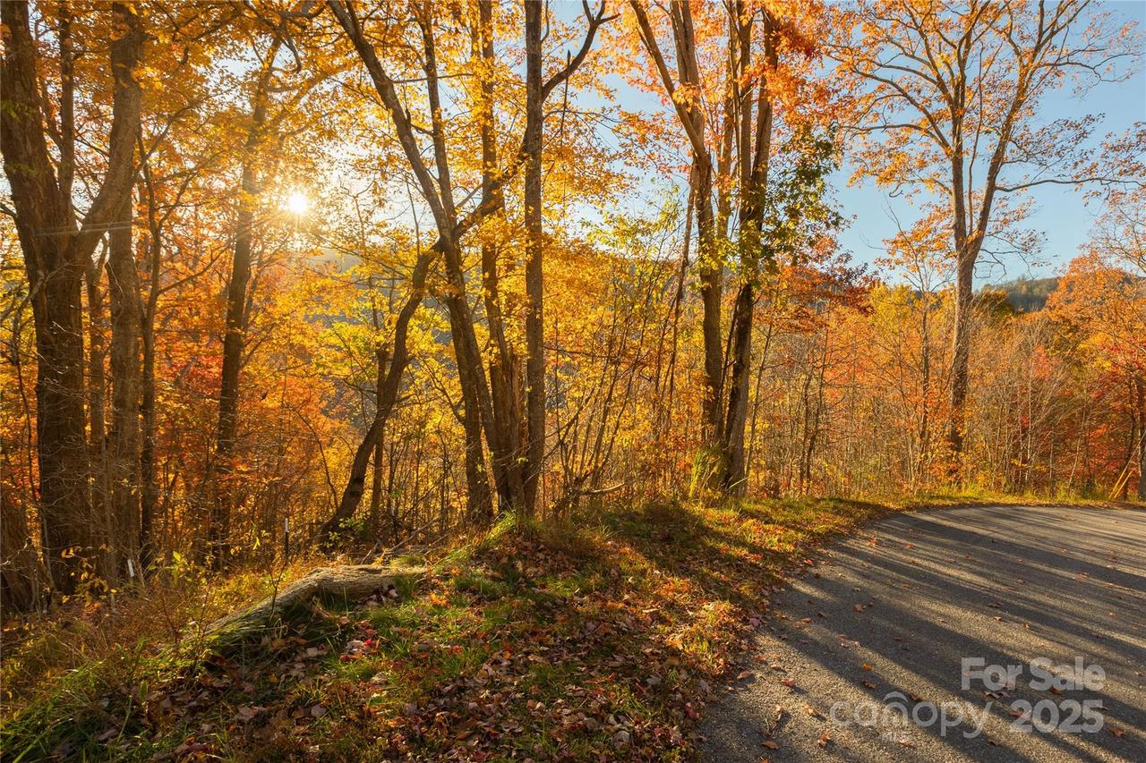 Wesley Creek Rd. #1 and #2, Clyde, NC 28721