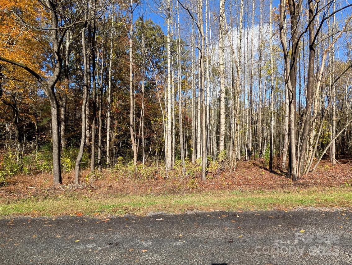 00 Old Roper Rd., Hendersonville, NC 28791
