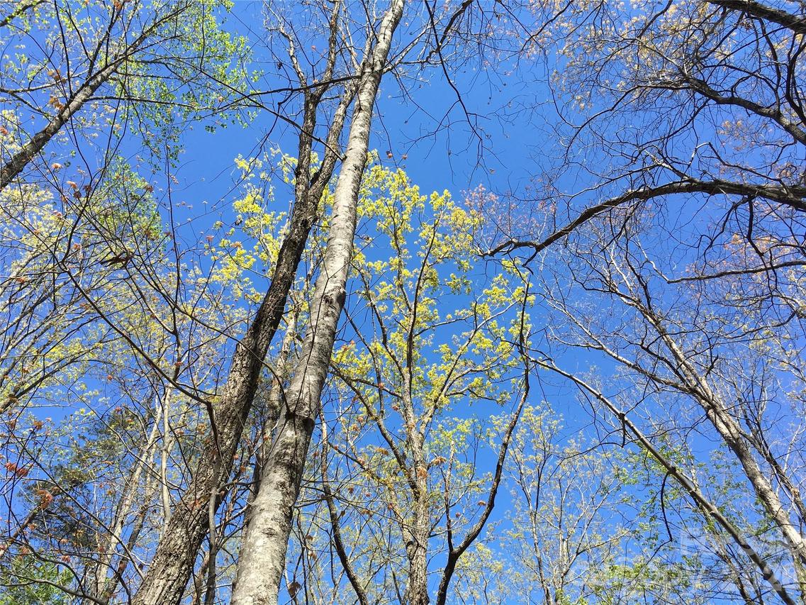 00 Lytle Mountain Rd., Marion, NC 28752