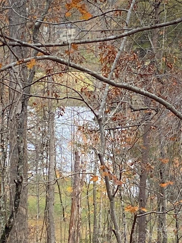 0000 Raleigh Dr. #8 & 9, Lake Lure, NC 28761