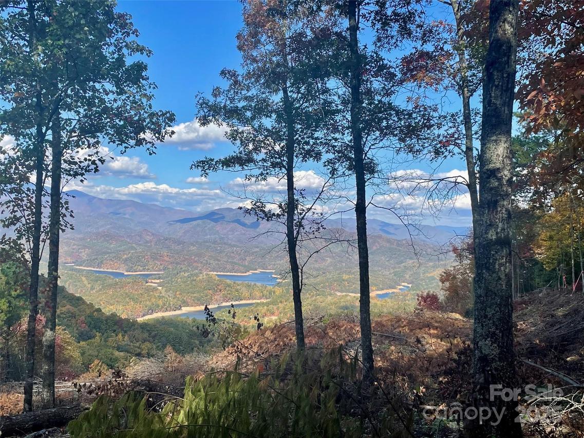 Lot 8 Rocky Ridge Rd. #8, Almond, NC 28702